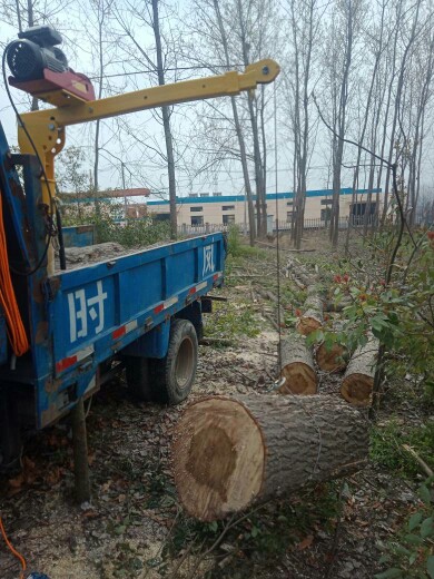 車載小吊機(jī)使用案例